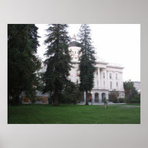 Trees On The Grounds Print
