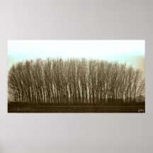 trees print
