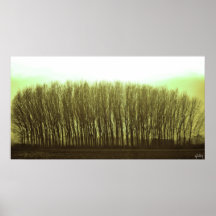trees print