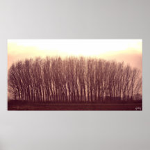 trees print