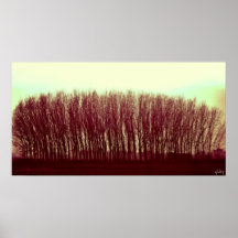 trees posters
