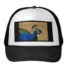 Trendy peacock hats & peak caps - customisable