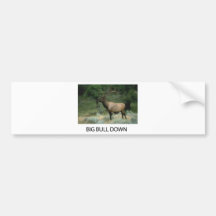 Trents bull bumper sticker