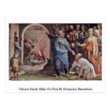 Tribune Sends Allies On Pyre By Domenico Beccafumi Postcards