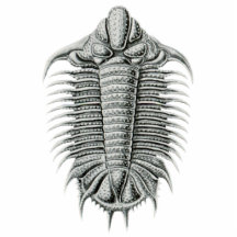 Trilobite Cutout Magnet/Sculpture Photo Cutouts