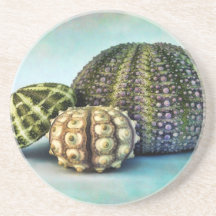 Trio of Urchins Drink Coaster