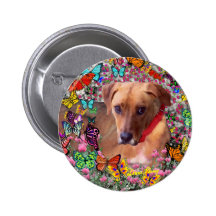 Trista in Butterflies Button