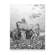 Tritons grooming two horses of the sun postcard