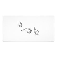 TROIS LAPINS PICTURE CARD