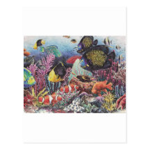 Tropical Coral Fish Dance Postcards