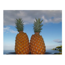 Tropical Couple Post Cards