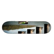 Tropical Del-usion Custom Skate Board