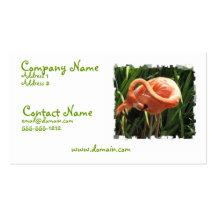Tropical Flamingo Business Card