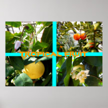Tropical Fruit Collage Posters