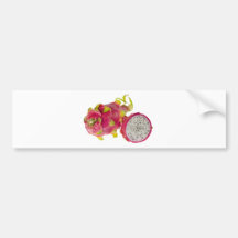 Tropical fruit - Dragonfruit Bumper Stickers