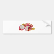 Tropical fruit - Dragonfruit Bumper Stickers