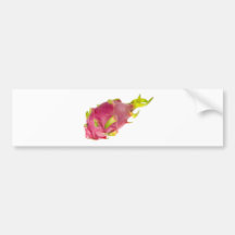Tropical fruit - Pitaya Bumper Sticker