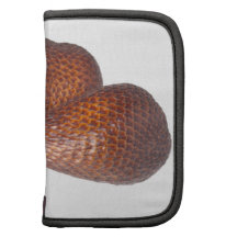 Tropical fruit - Salak fruit Organizer