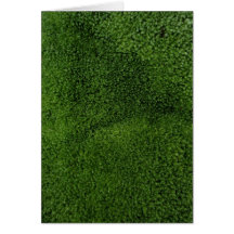 Tropical Hawaiian Moss Greeting Card