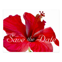 Tropical Hibiscus Wedding Save the Date Postcard