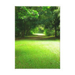Tropical Lawn Stretched Canvas Prints