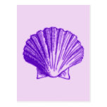 Tropical Moonlight Purple Shell Postcard