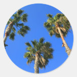 Tropical Palm Trees Sticker
