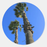 Tropical Palm Trees Sticker