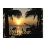 Tropical Paradise Invites