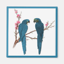 Tropical Parrots Fridge Magnet