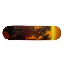 Tropical Sun Custom Skate Board