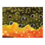 Trout Fly Fishing Post Cards
