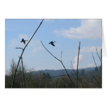 Trumpeter Swans Greeting Card