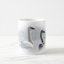 Trumpeter Swans Mug