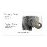 Trumpeting Elephant Business Card