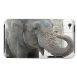 Trumpeting Elephant iTouch Case Barely There iPod Cases
