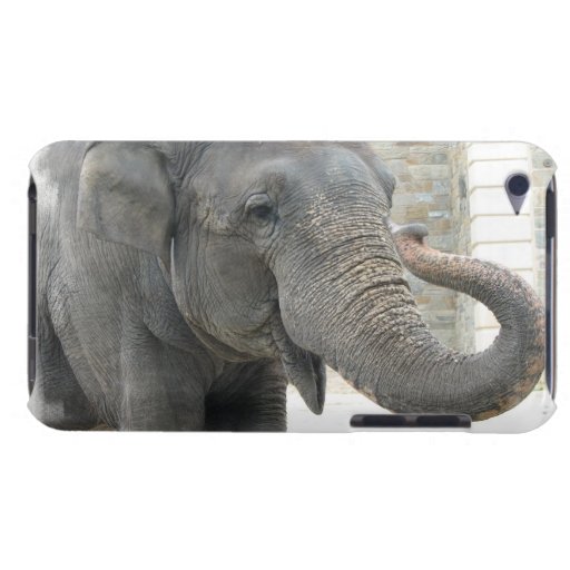 Trumpeting Elephant iTouch Case Barely There iPod Cases