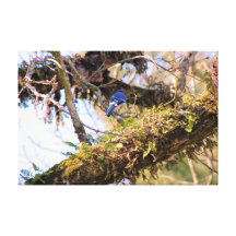 Trust Stretched Canvas Print