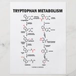 Tryptophan Metabolism (Chemistry) Custom Flyer