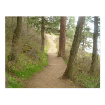 Tubbs Hill walking path Postcards