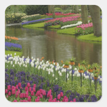 Tulip and hyacinth garden, Keukenhof Gardens, 2 Sticker