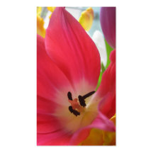 Tulip Business Card