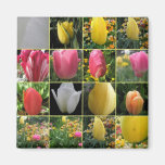 Tulip Collage Gift magnet