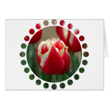 Tulip Design Card