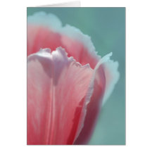 Tulip Edge Greeting Card