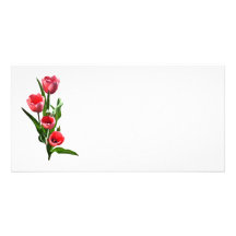 Tulip Family Photo Greeting Card