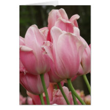 Tulip Festivals Greeting Card