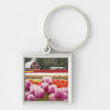 Tulip fields of Mt. Vernon, Skagit County, WA Key Chains