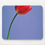 Tulip  flowers mousepad