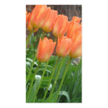 Tulip Garden Business Cards